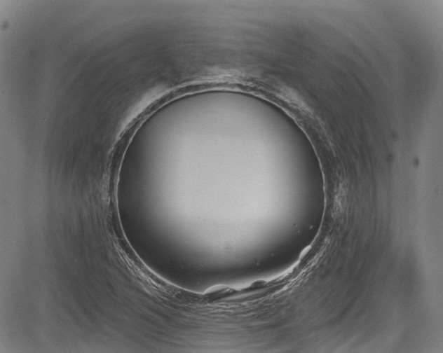 X0000084051216200702161458