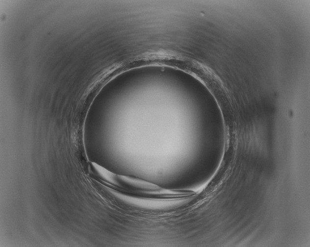 X0000084051217200702161458