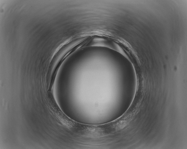 X0000084051218200702161458