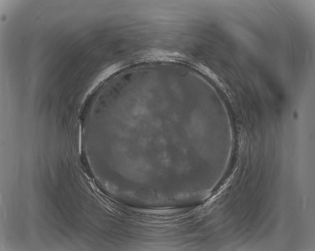 X0000084051219200702161458