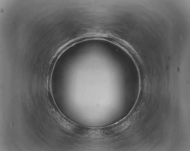 X0000084051220200702161458