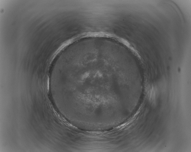 X0000084051221200702161458