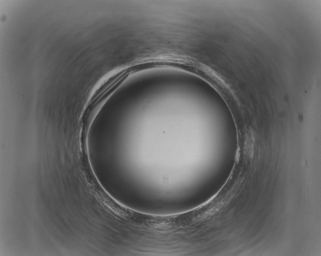 X0000084051222200702161458