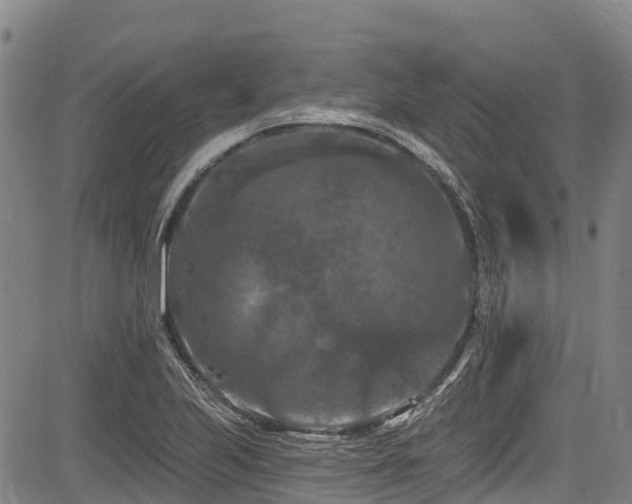 X0000084051223200702161458