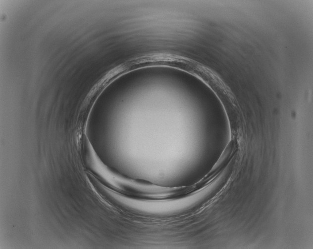 X0000084051225200702161458