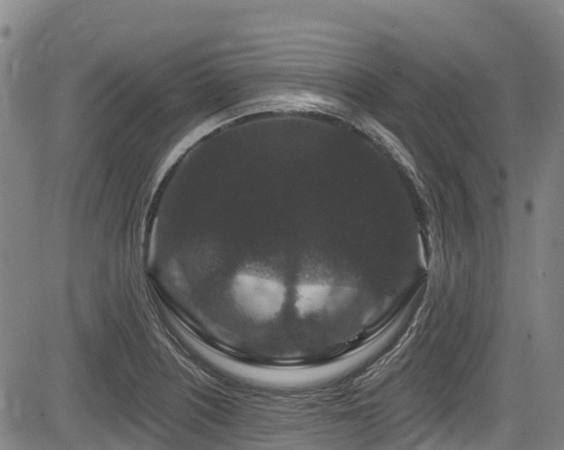 X0000084051226200702161459