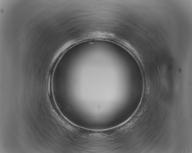 X0000084051227200702161459