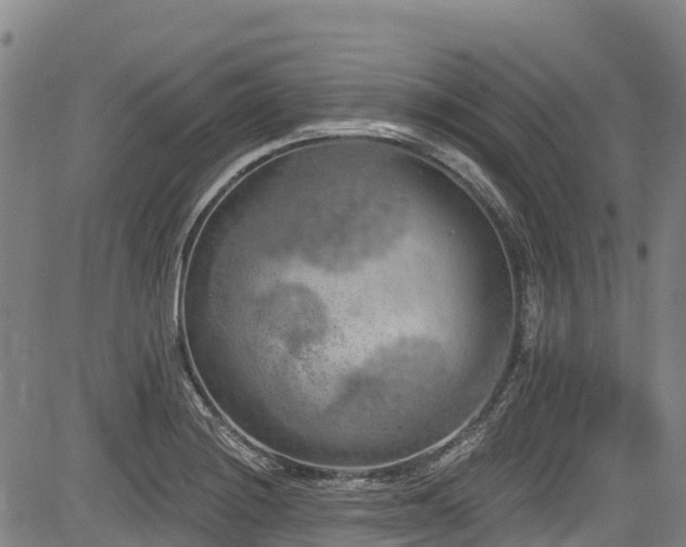 X0000084051228200702161459