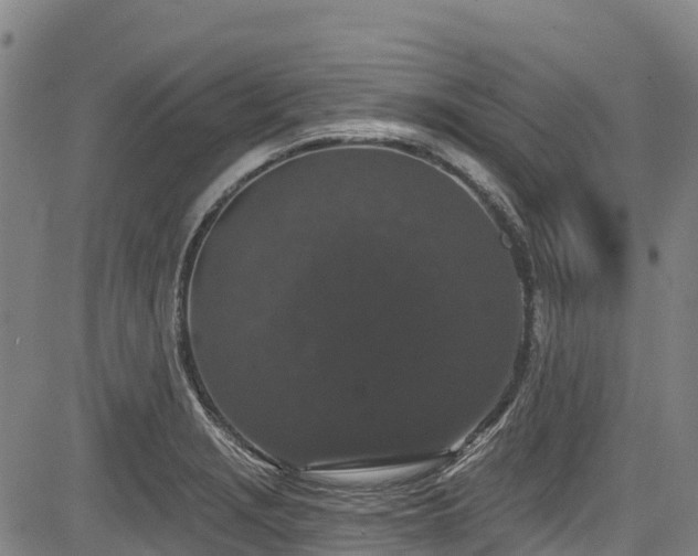 X0000084051229200702161459