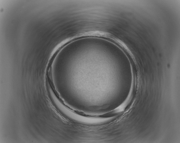 X0000084051230200702161459