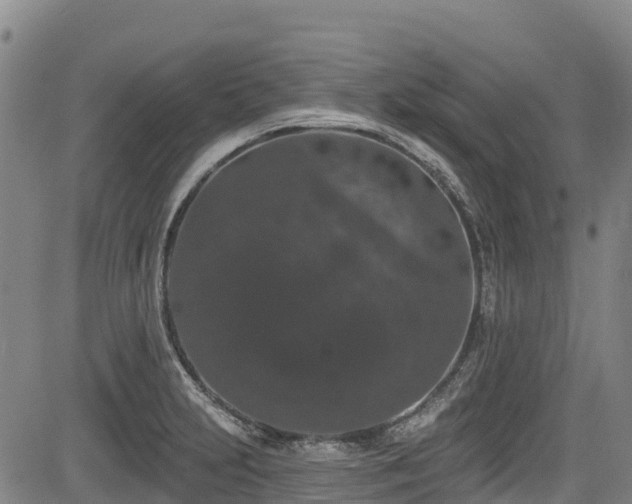 X0000084051231200702161459