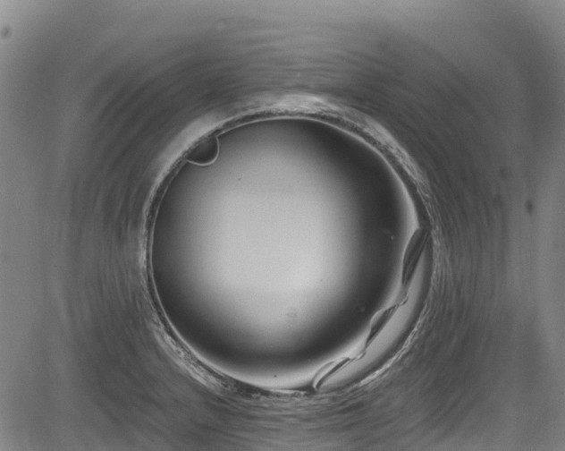 X0000084051232200702161459