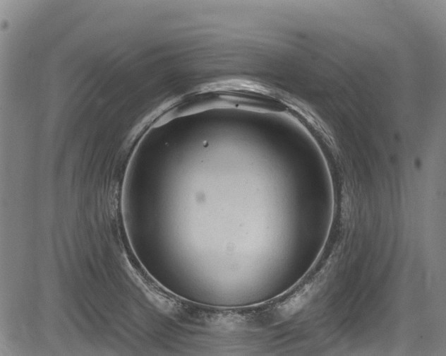 X0000084051233200702161459