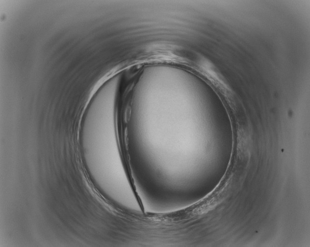 X0000084051234200702161459