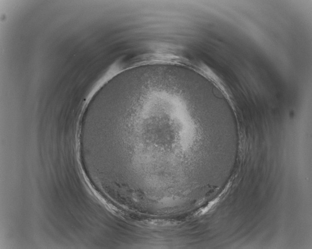 X0000084051235200702161459