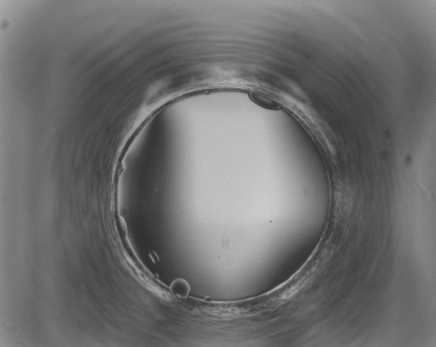 X0000084051236200702161459