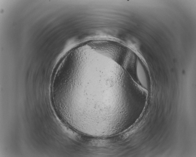 X0000084051237200702161459