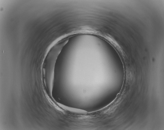 X0000084051238200702161459