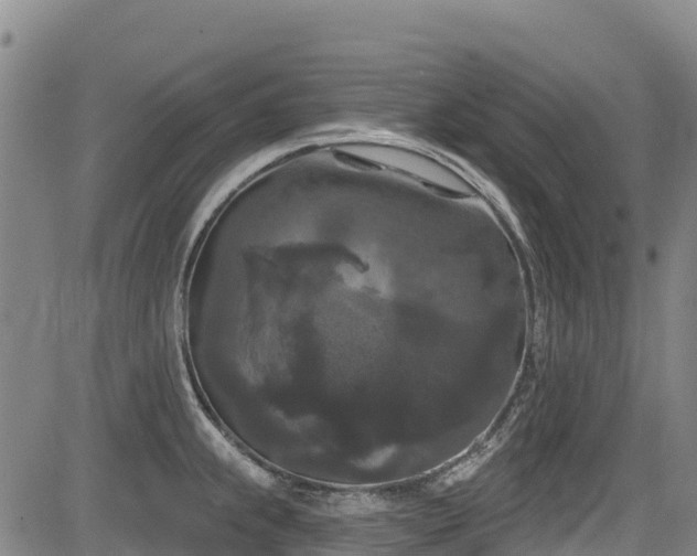 X0000084051239200702161459