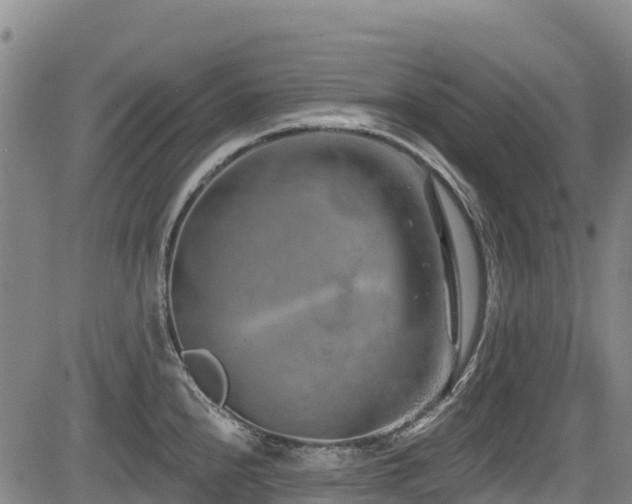 X0000084051240200702161459