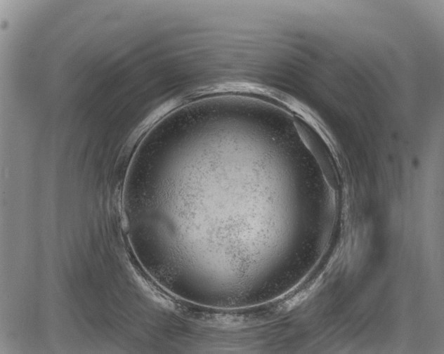 X0000084051241200702161459