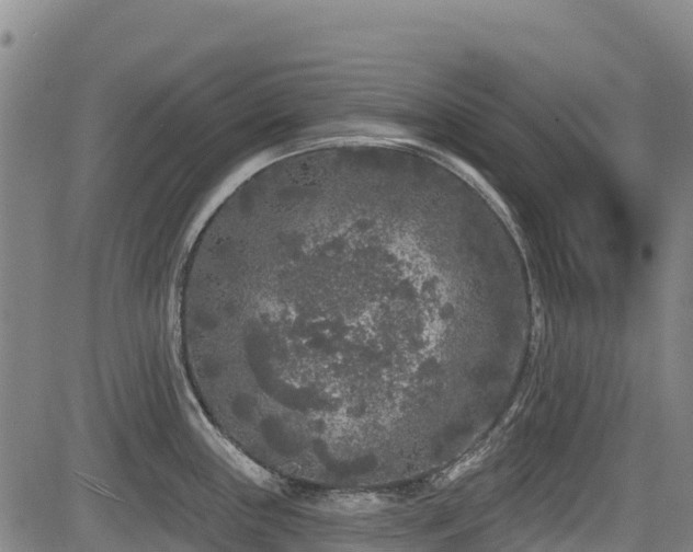 X0000084051243200702161459