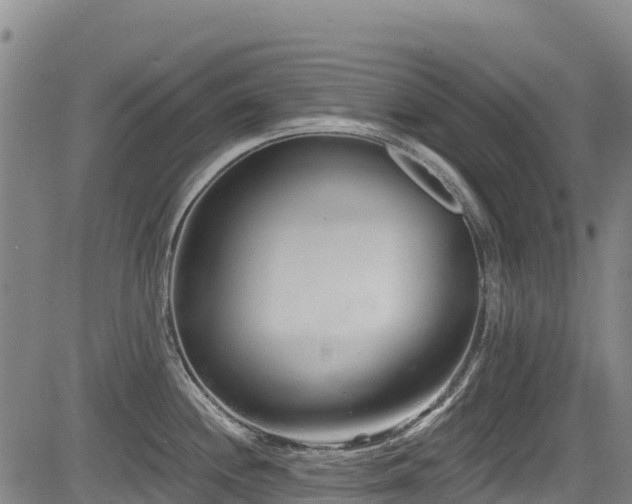 X0000084051244200702161459