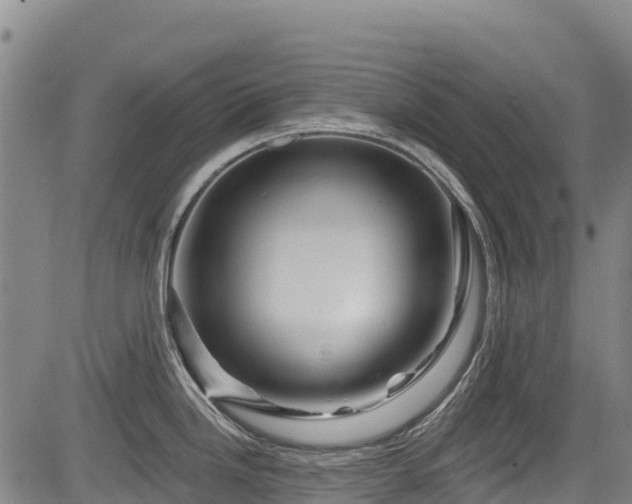 X0000084051246200702161459