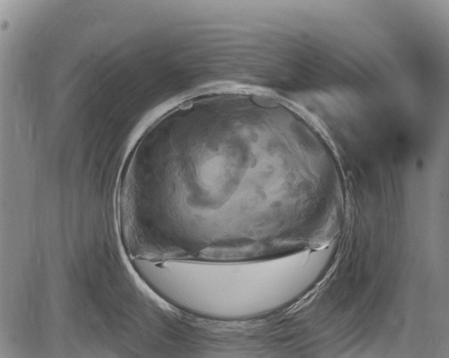 X0000084051247200702161459