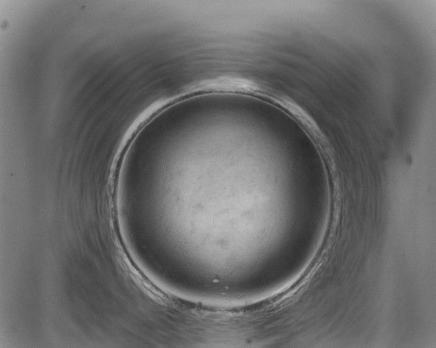 X0000084051248200702161459