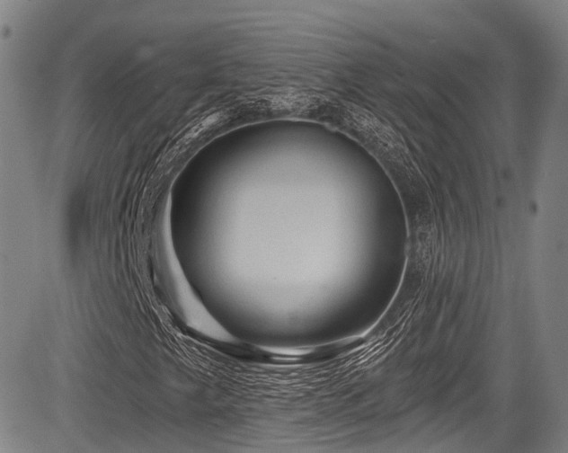 X0000084051249200702161458