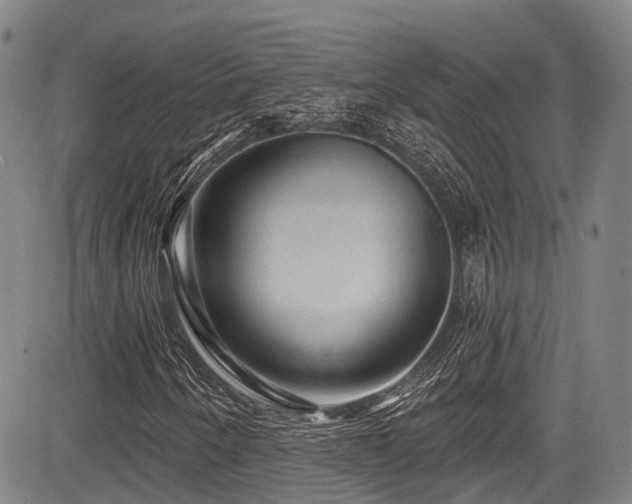 X0000084051250200702161458