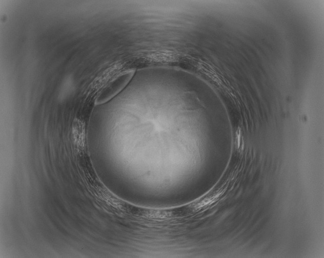 X0000084051251200702161458