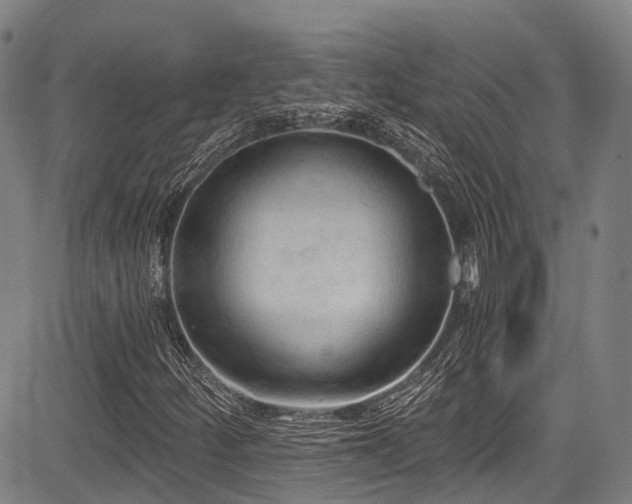 X0000084051252200702161458