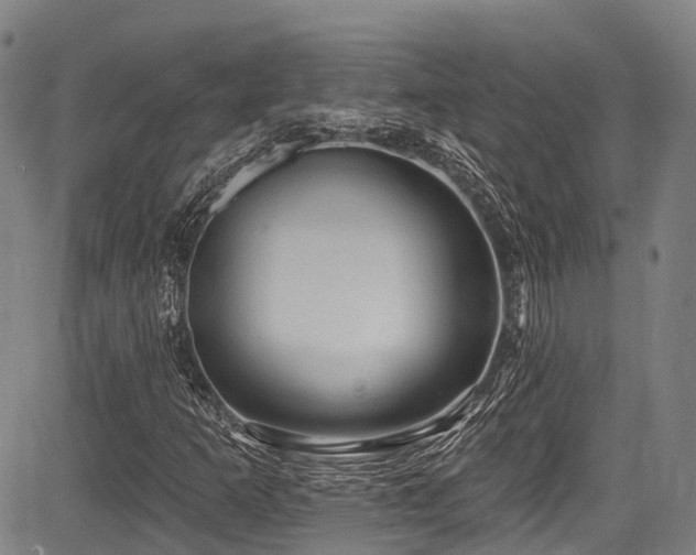 X0000084051253200702161458