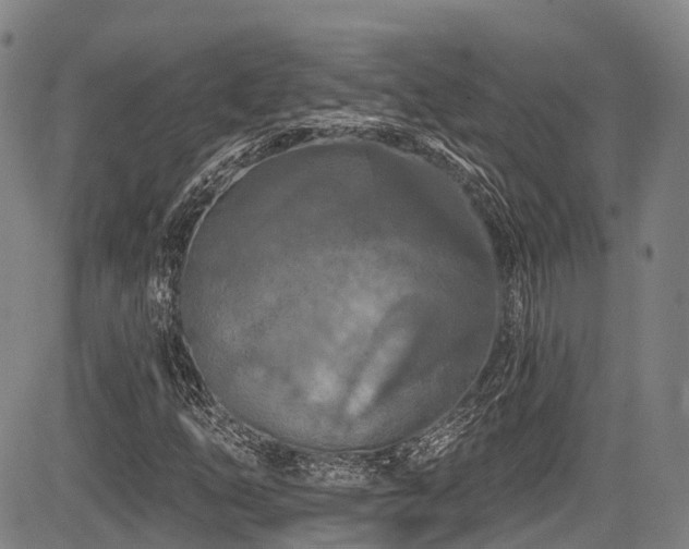 X0000084051254200702161458