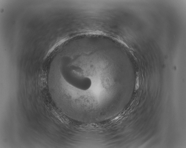 X0000084051255200702161458