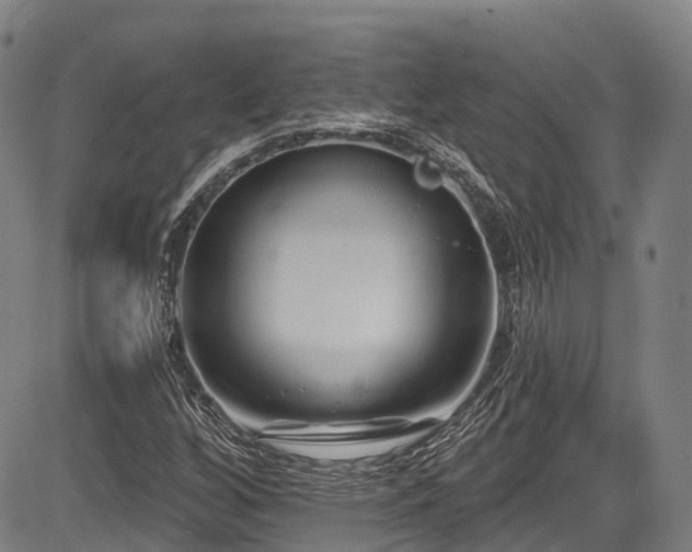 X0000084051256200702161458