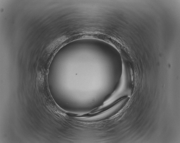 X0000084051257200702161458