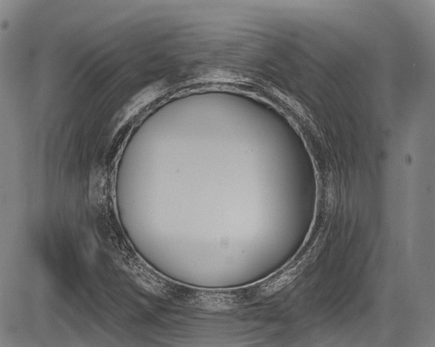 X0000084051258200702161458