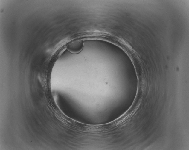 X0000084051259200702161458