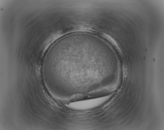 X0000084051260200702161458