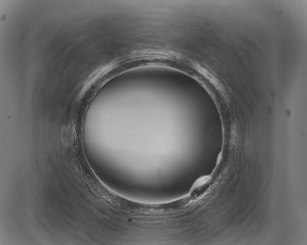 X0000084051261200702161458