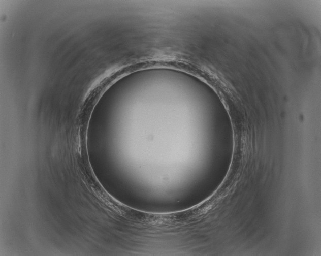 X0000084051262200702161458