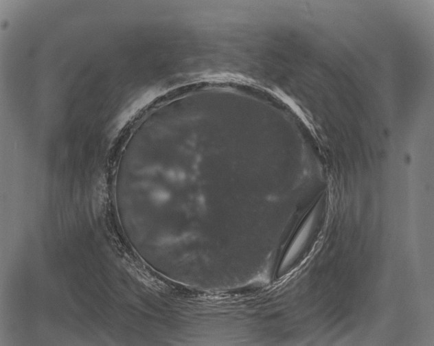 X0000084051263200702161458