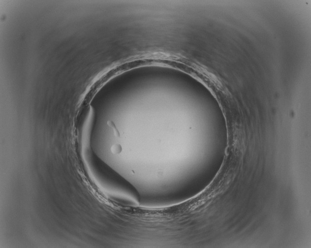 X0000084051264200702161458