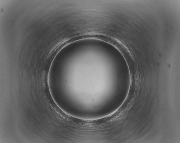 X0000084051265200702161458