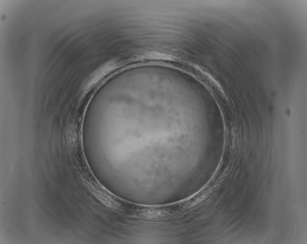 X0000084051266200702161458