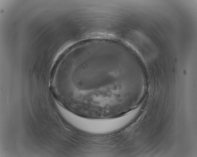 X0000084051267200702161458