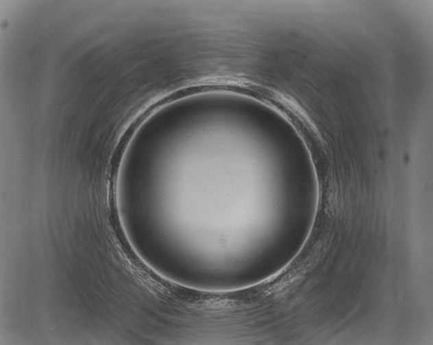 X0000084051268200702161458